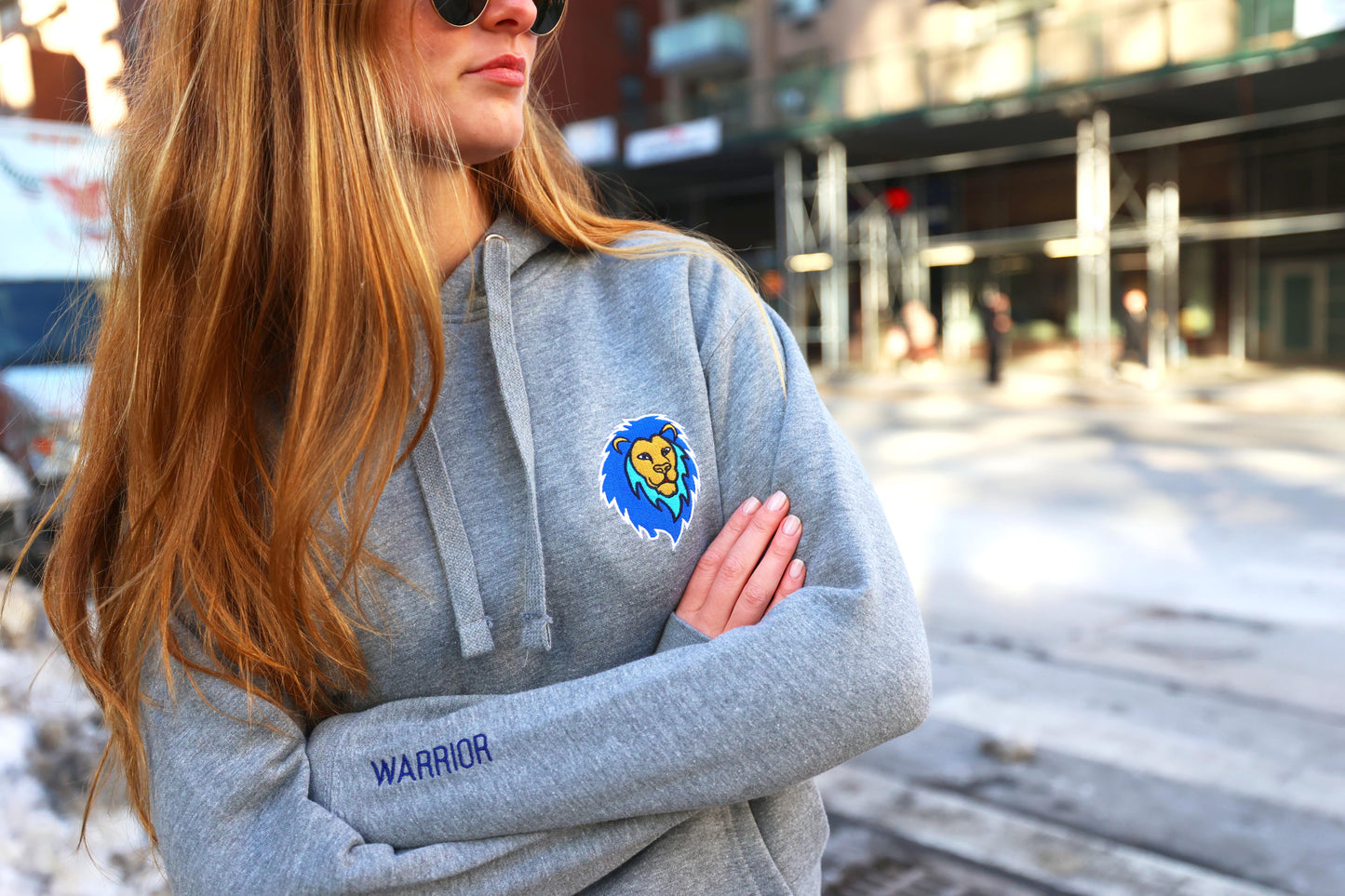 Blue Lion of Judah Warrior Unisex Premium Pullover Hoodie (Carbon Grey)