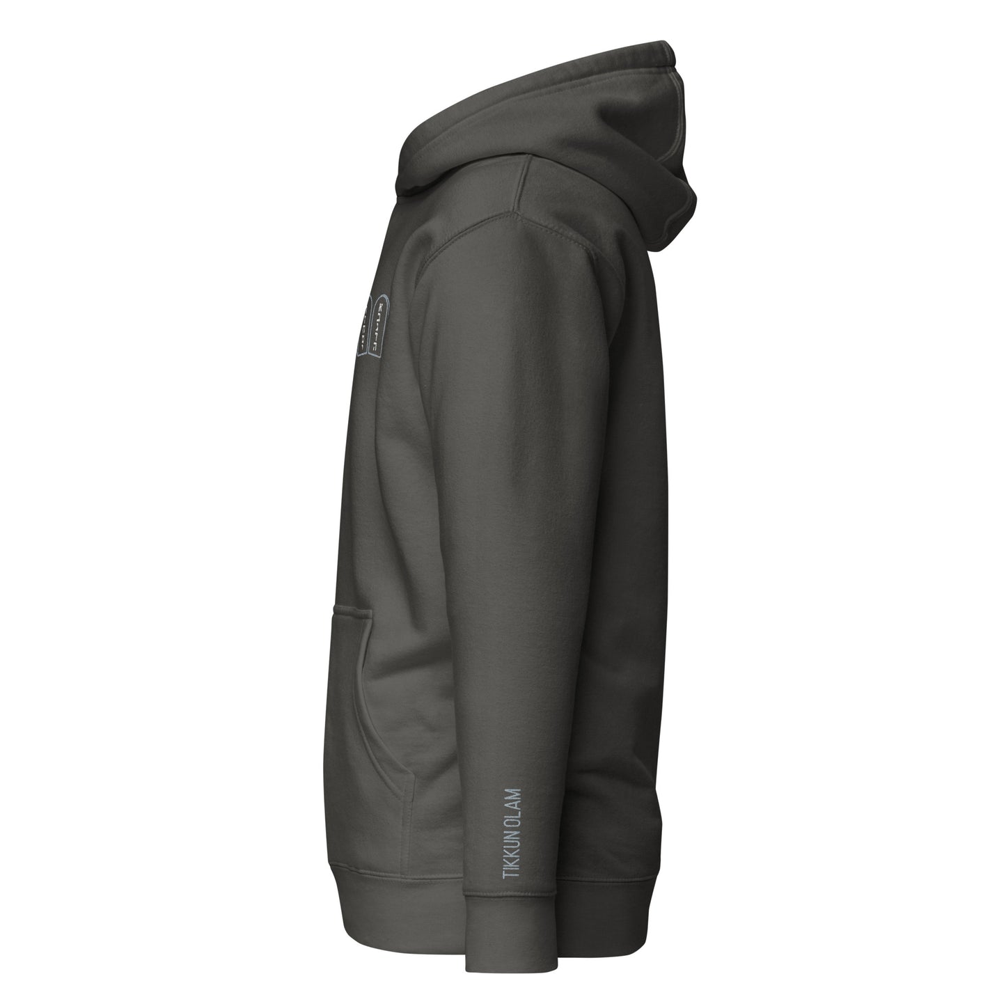 Outline Luchot Two Tablets Unisex Premium Pullover Hoodie (Vintage Black)